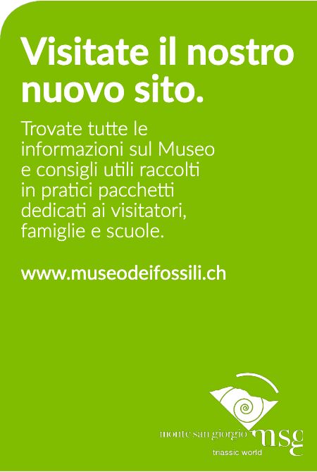 Museo dei fossili del Monte San Giorgio